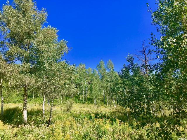 142 Pine Meadow Dr, Wanship, UT 84017 — photo 11