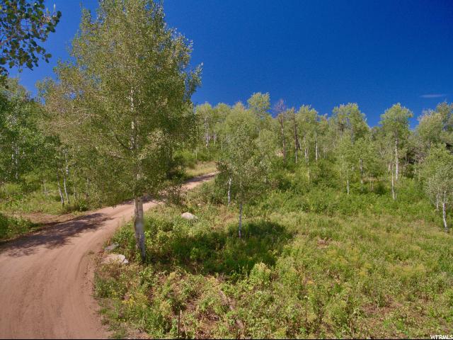 142 Pine Meadow Dr, Wanship, UT 84017 — photo 5