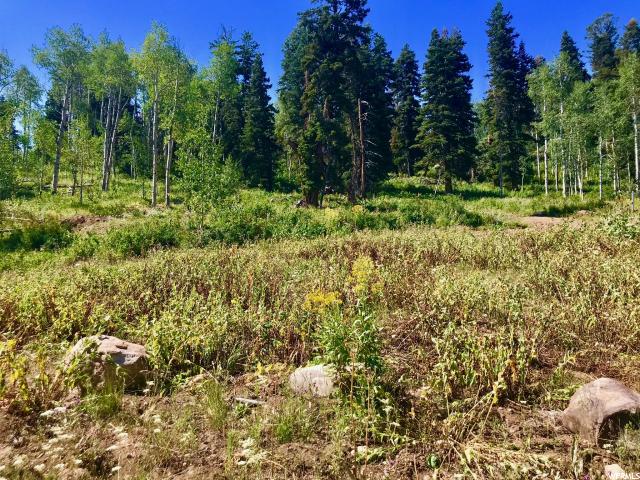 142 Pine Meadow Dr, Wanship, UT 84017 — photo 7