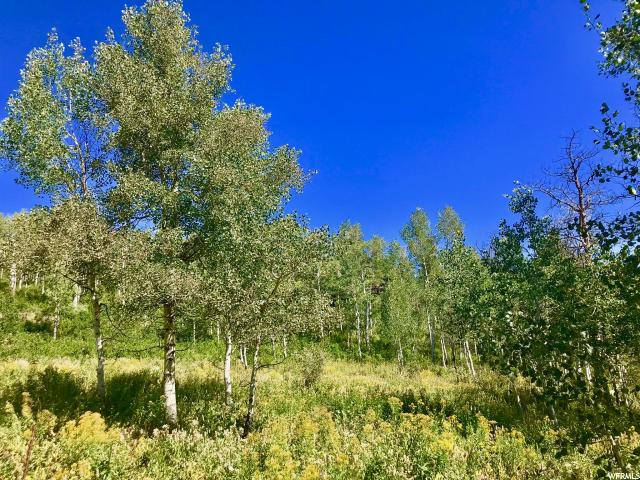 142 Pine Meadow Dr, Wanship, UT 84017 — photo 10