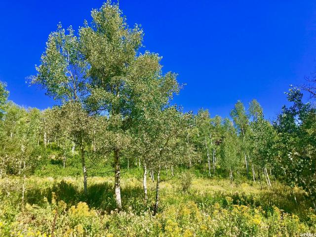 142 Pine Meadow Dr, Wanship, UT 84017 — photo 9