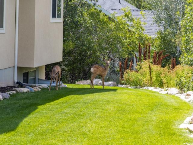 3932 N 4800 E #22, Eden, UT 84310 — photo 9