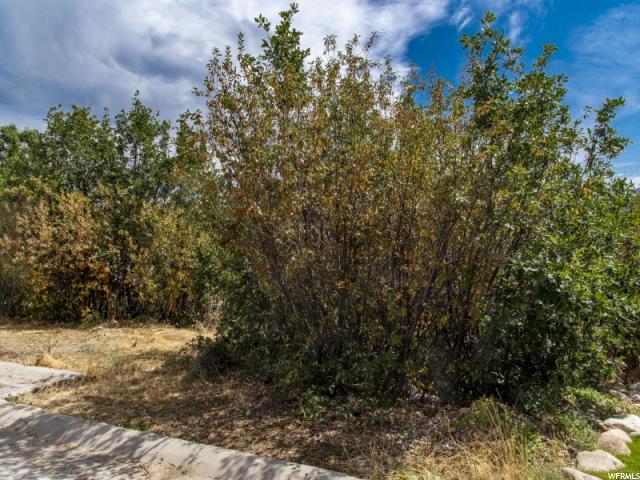 3932 N 4800 E #22, Eden, UT 84310 — photo 5