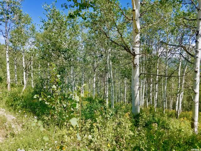 2311 Uintah View Dr #E-59, Wanship, UT 84017 — photo 8