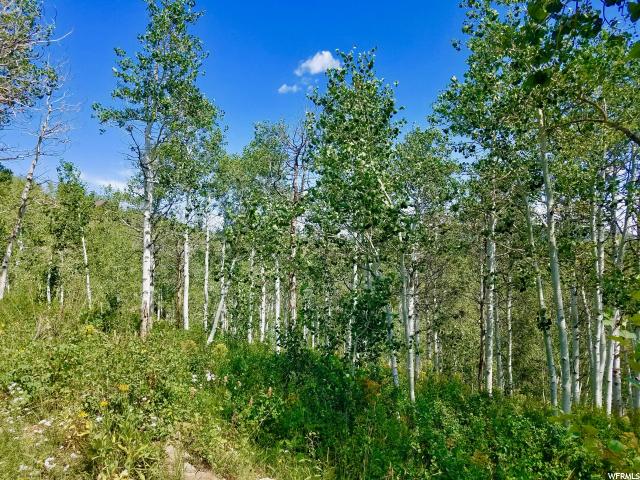 2311 Uintah View Dr #E-59, Wanship, UT 84017 — photo 6