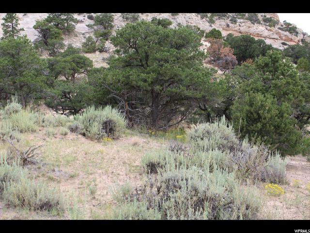 1200 S 1200 St E, Teasdale, UT 84773 — photo 6