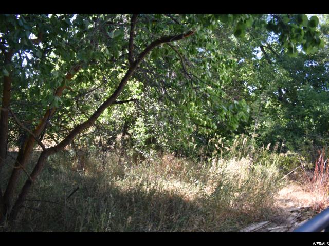 2359 S Harrison Blvd E, Ogden, UT 84401 — photo 5