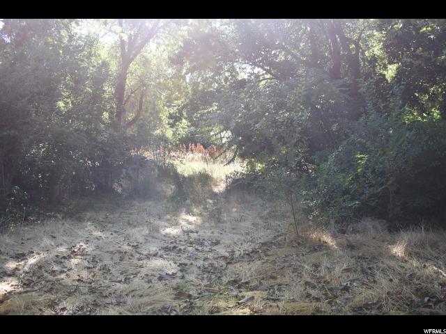 2359 S Harrison Blvd E, Ogden, UT 84401 — photo 6