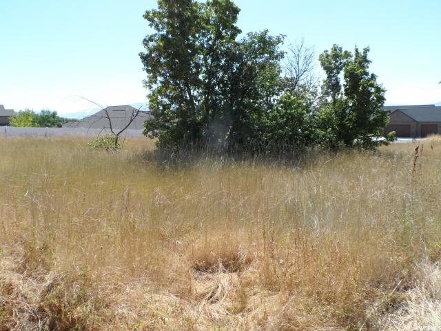 833 S 100 E #3, Richmond, UT 84333 — photo 6