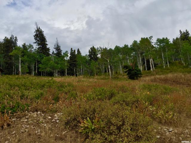 1833 Pine Loop Rd #F-39, Wanship, UT 84017 — photo 3