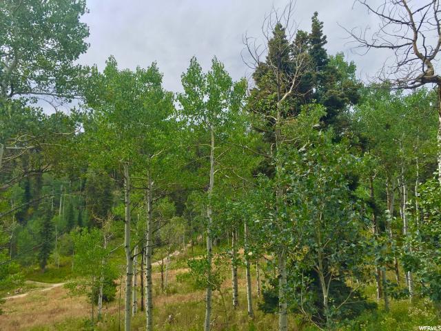 1833 Pine Loop Rd #F-39, Wanship, UT 84017 — photo 10