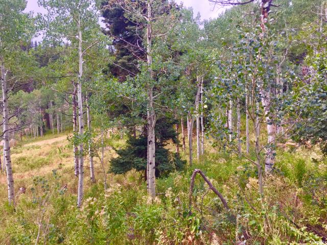 1833 Pine Loop Rd #F-39, Wanship, UT 84017 — photo 12