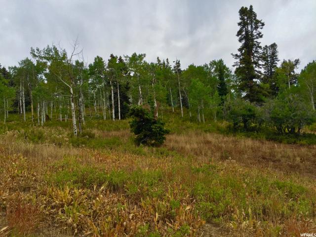 1833 Pine Loop Rd #F-39, Wanship, UT 84017 — photo 7
