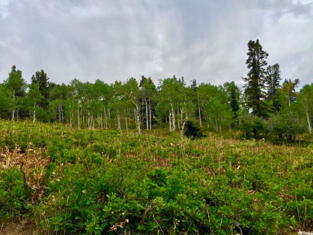 1833 Pine Loop Rd #F-39, Wanship, UT 84017 — photo 5