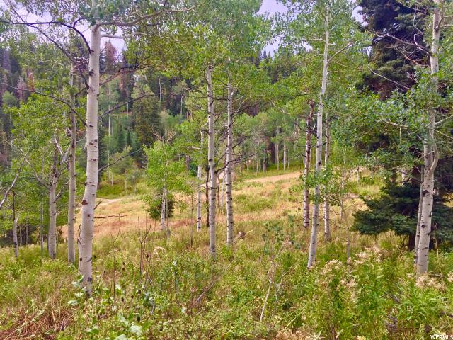 1833 Pine Loop Rd #F-39, Wanship, UT 84017 — photo 11