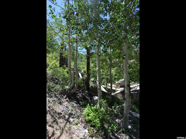Kimberly Rd, Junction, UT 84740 — photo 8