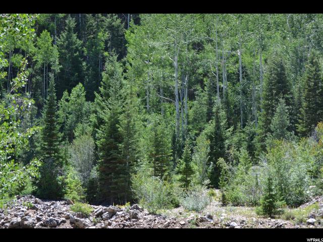 Kimberly Rd, Junction, UT 84740 — photo 10