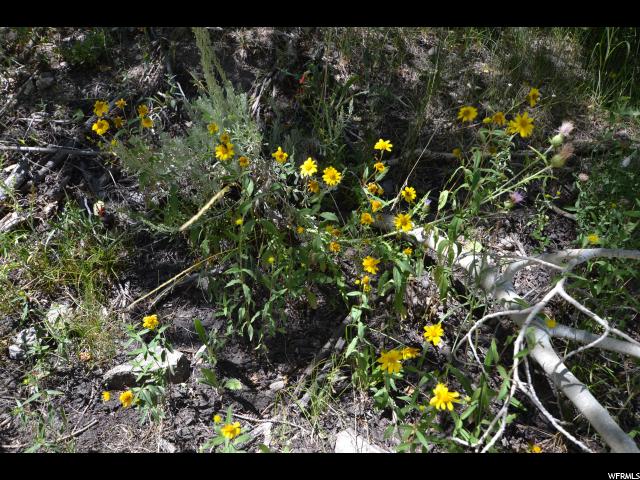 Kimberly Rd, Junction, UT 84740 — photo 12
