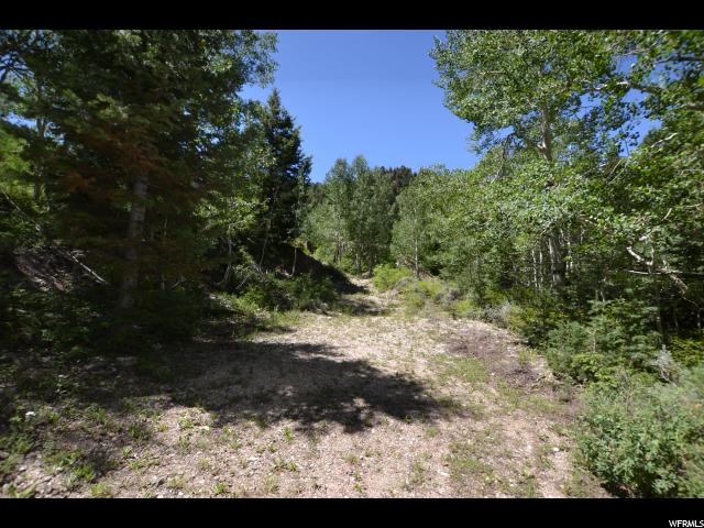 Kimberly Rd, Junction, UT 84740 — photo 4