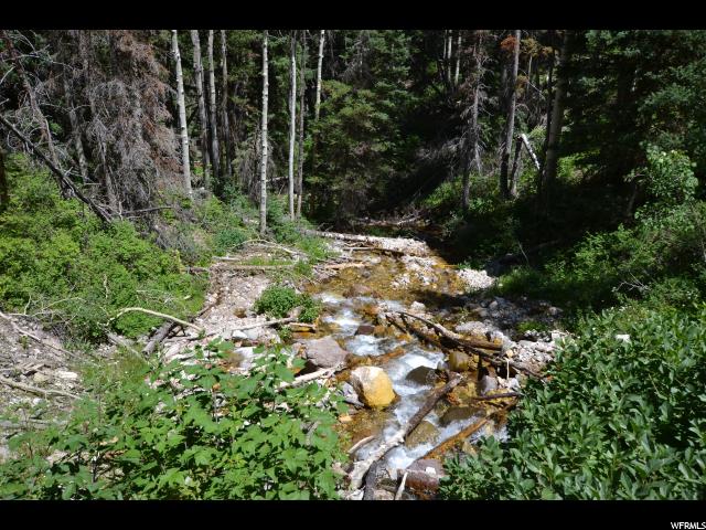 Kimberly Rd, Junction, UT 84740 — photo 5