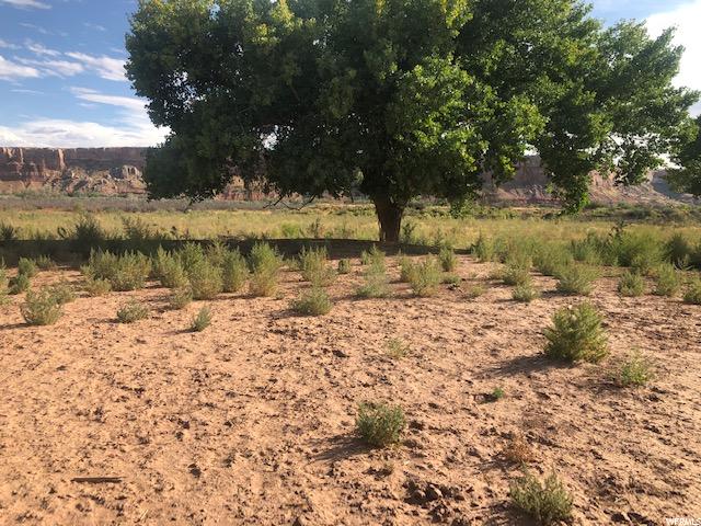 Bluff, UT 84512 — photo 2