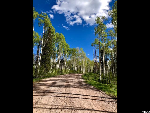 1171 Hayden, Kamas, UT 84036 — photo 3