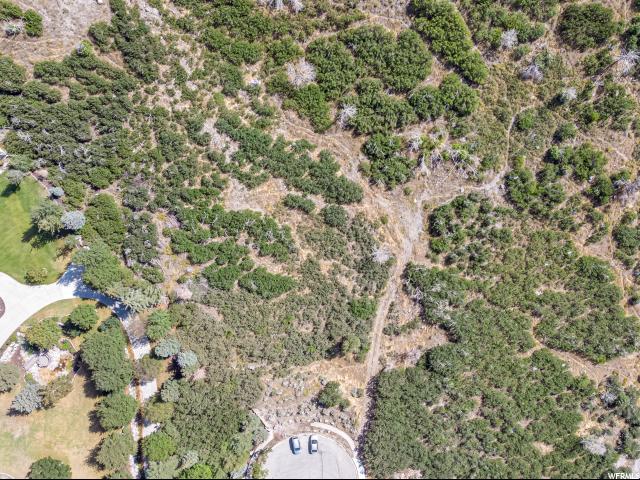 1691 E Box Elder Cir E #54, Alpine, UT 84004 — photo 5