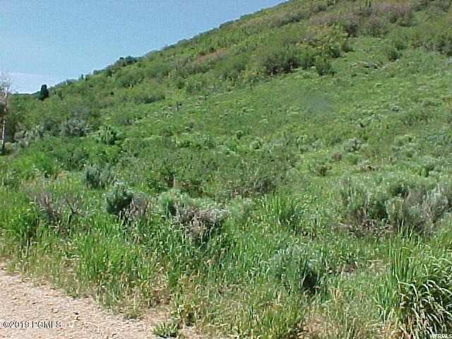 153 Main Loop #153, Echo, UT 84024 — photo 7
