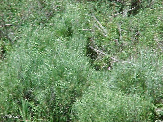153 Main Loop #153, Echo, UT 84024 — photo 3