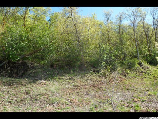 3893 S Mountain Oaks E #310, Bountiful, UT 84010 — photo 2