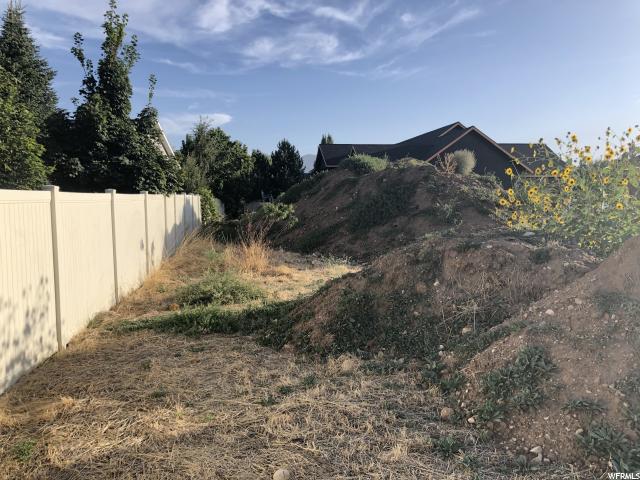1071 Willowbrook Ln, Springville, UT 84663 — photo 5