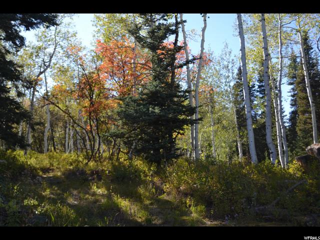 2106 Pine Circle Cir S #33, Wanship, UT 84017 — photo 4
