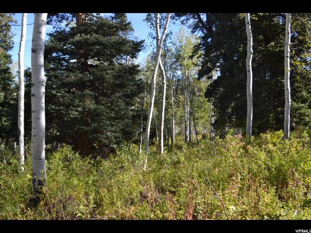 2106 Pine Circle Cir S #33, Wanship, UT 84017 — photo 7