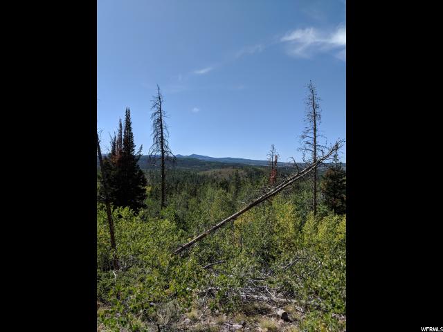 5534 Pine Ridge Rd #1002, Kamas, UT 84036 — photo 4
