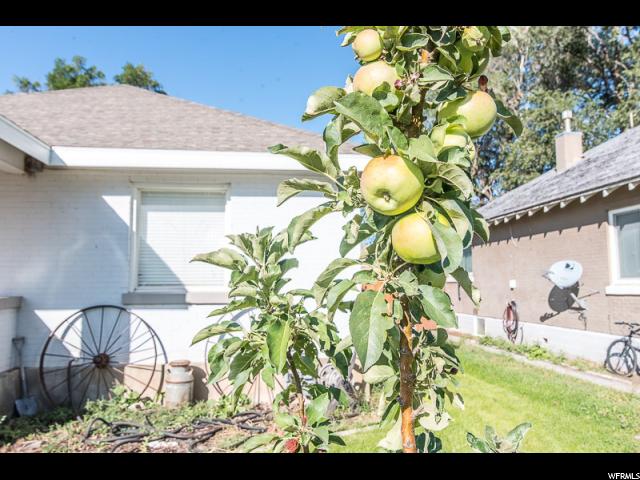 13425 N 4500 W, Cornish, UT 84308 — photo 10