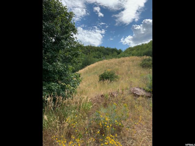 4070 Switzer Dr, Midway, UT 84049 — photo 8