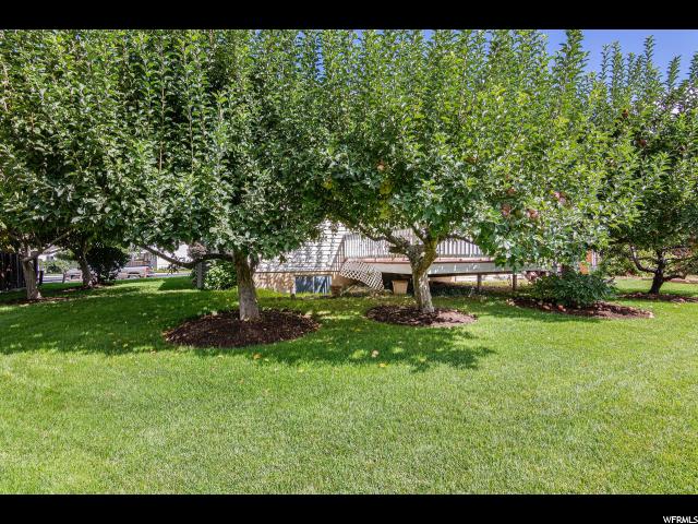 346 E 700 S, Salem, UT 84653 — photo 8