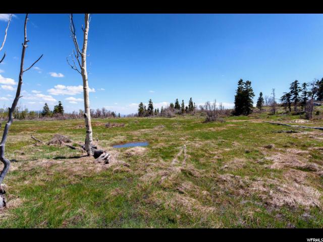 #79, Virgin, UT 84779 — photo 4