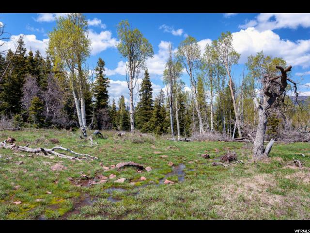 #86, Virgin, UT 84779 — photo 7