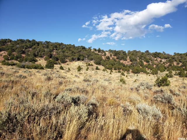 #268, Fruitland, UT 84027 — photo 2