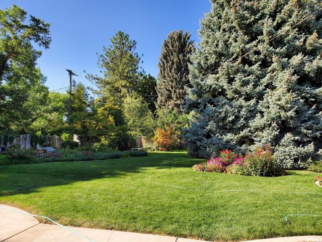 566 E 3050 N, North Ogden, UT 84414 — photo 10