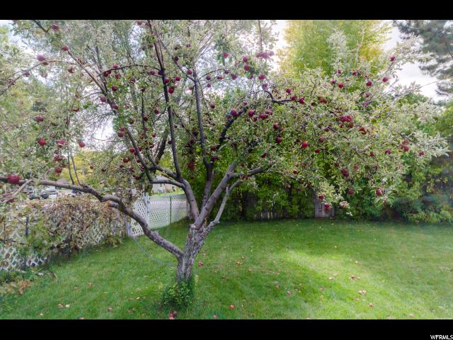 489 E 200 S, Hyrum, UT 84319 — photo 7