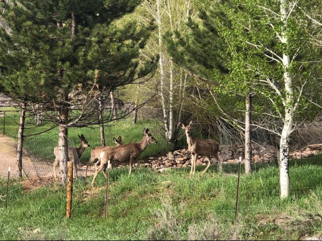 4825 Sunset Rd #1, Oakley, UT 84055 — photo 2