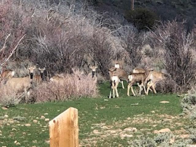 4825 Sunset Rd #1, Oakley, UT 84055 — photo 11