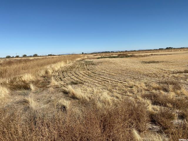 3500 S 2000 W, Oasis, UT 84624 — photo 2