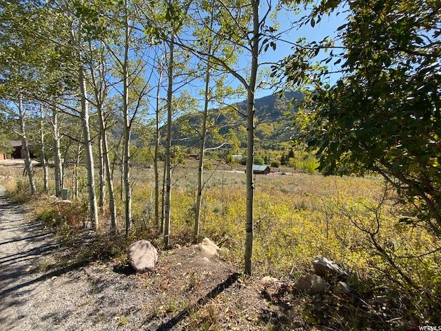 79 Seneca Dr #79, Oakley, UT 84055 — photo 10