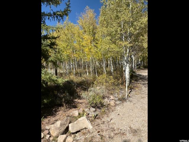 79 Seneca Dr #79, Oakley, UT 84055 — photo 8