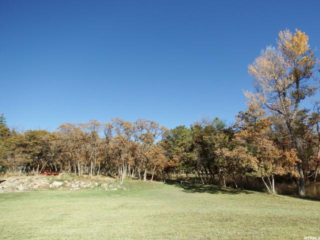 11800 E 25500 N, Fairview, UT 84629 — photo 11