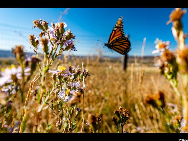 1099 E 3200 N., Marion, UT 84036 — photo 4