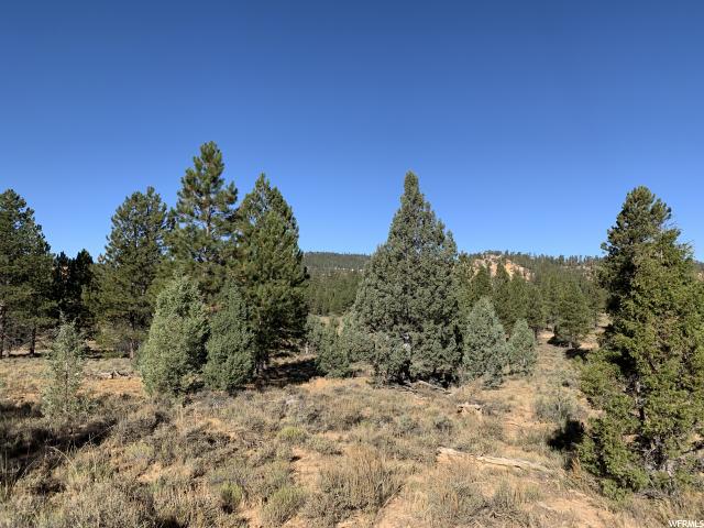 2750 N 1054 E, Hatch, UT 84735 — photo 5
